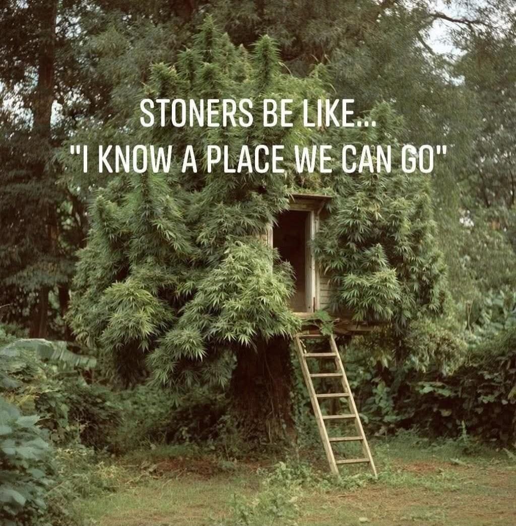 STONERS BE LIKE... 