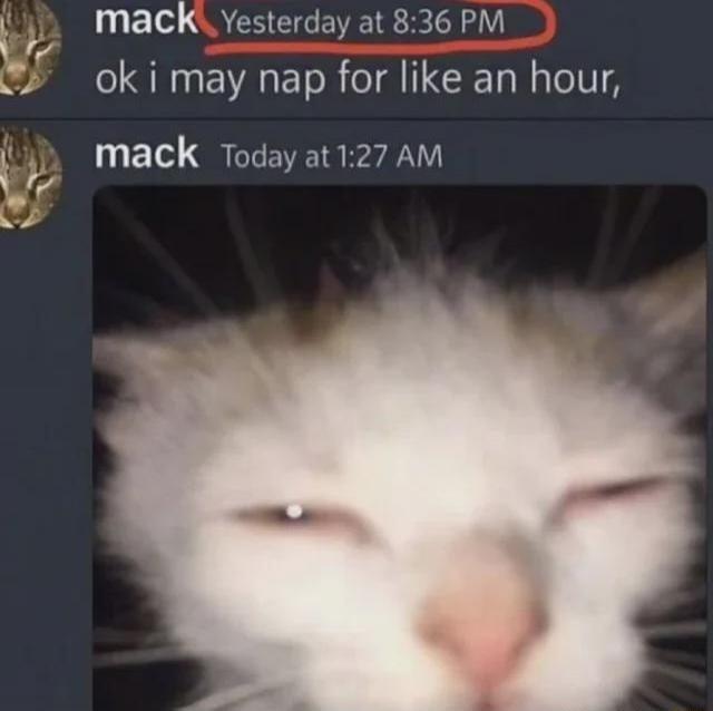 mack Yesterday at 8:36 PM ok i may nap for like an hour, mack Today at 1:27 AM