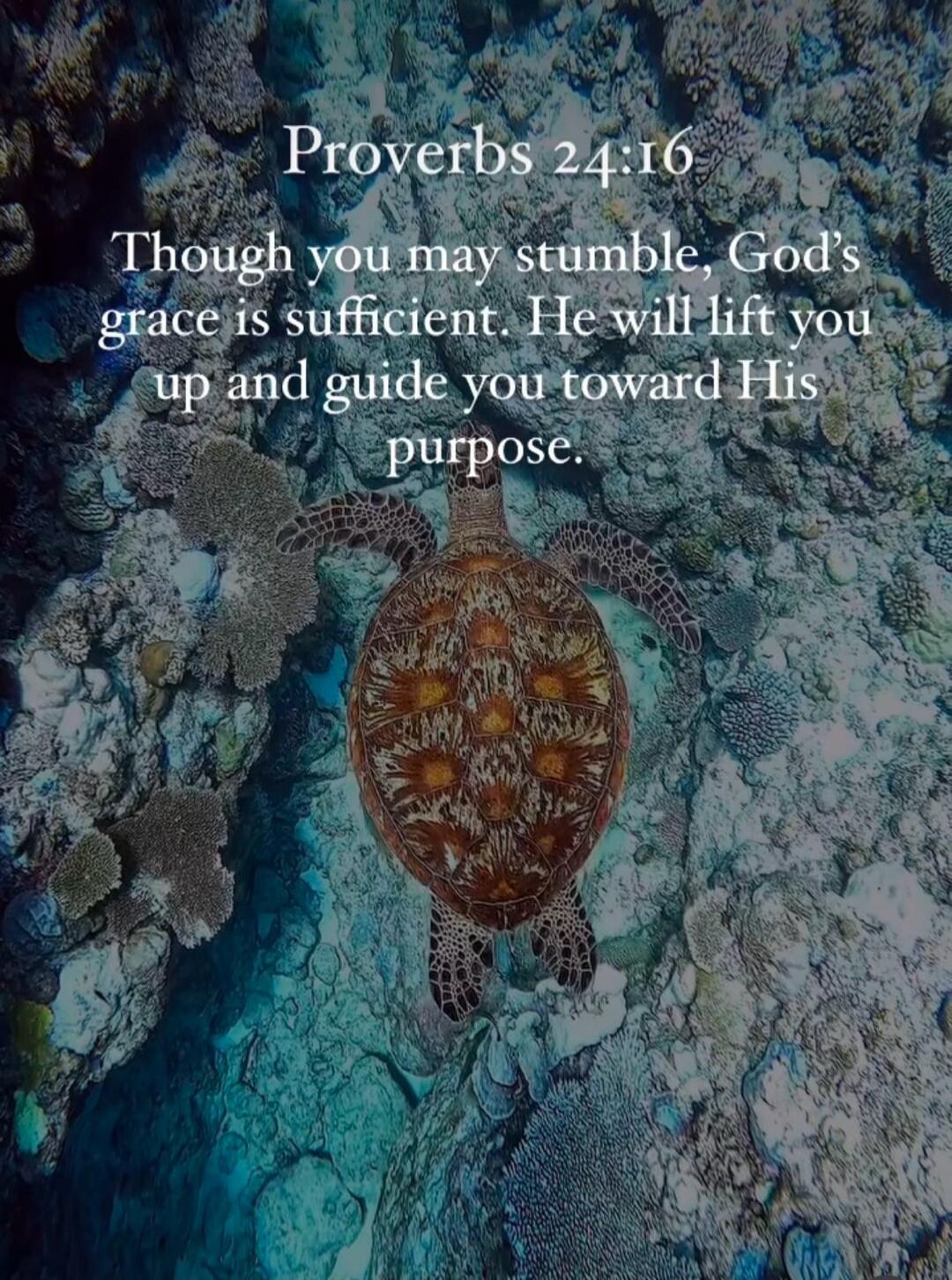 Proverbs 24:16 Though you may stumble, God’s grace is sufficient. He will lift you up and guide you toward His purpose.
