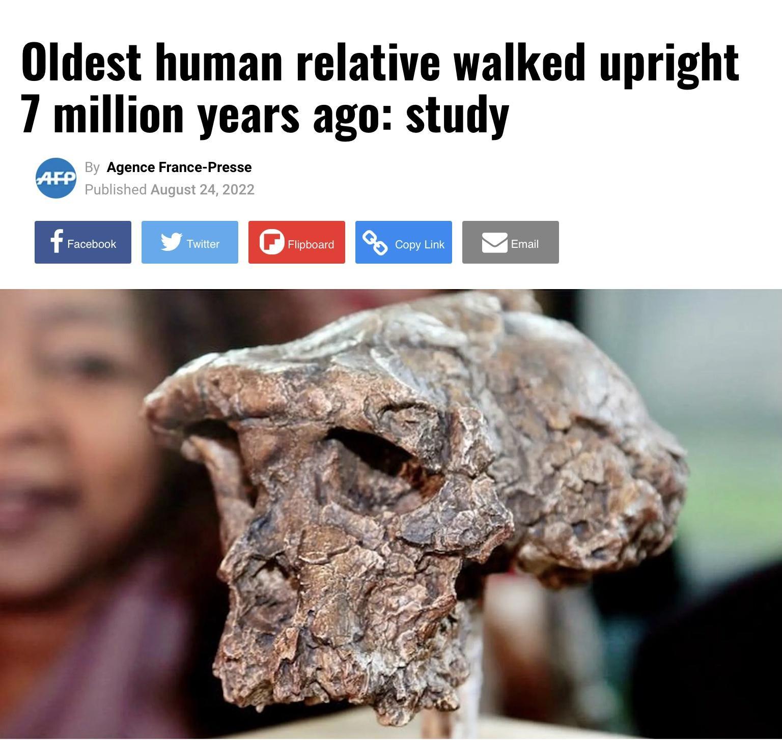 Oldest human relative walked upright 7 million years ago study A Agence rance presse