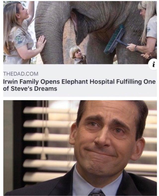 Irwin Family Opens Elephant Hospital Fulfilling One of Steves Dreams