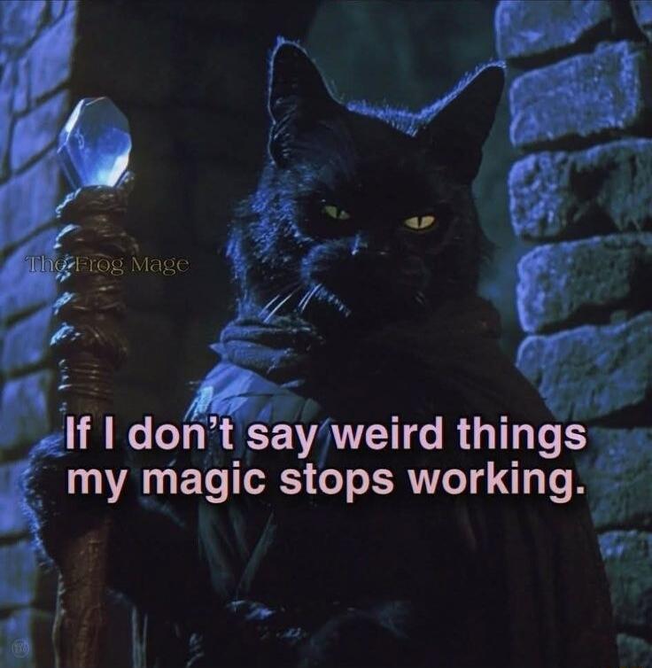 TheFrog Mage If I don't say weird things my magic stops working.