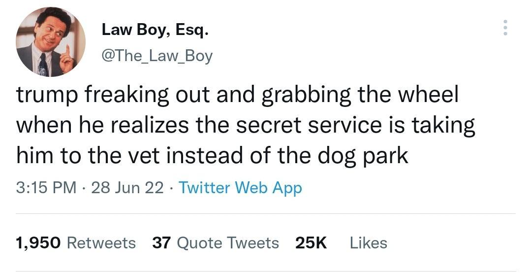 Law Boy Esq The_Law_Boy trump freaking out and grabbing the wheel when he realizes the secret service is taking him to the vet instead of the dog park 315 PM 28 Jun 22 Twitter Web App 1950 Retweets 37 Quote Tweets 25K Likes