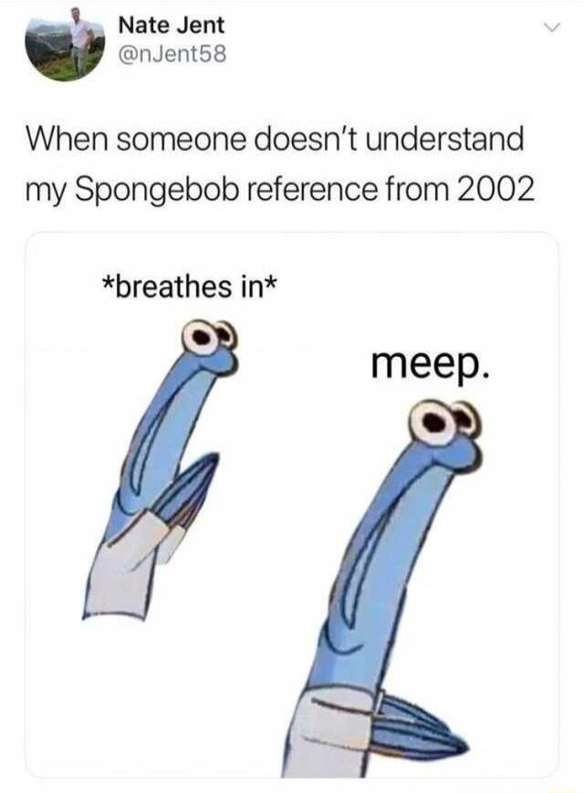 1 Nate Jent nJent58 When someone doesnt understand my Spongebob reference from 2002 breathes in meep