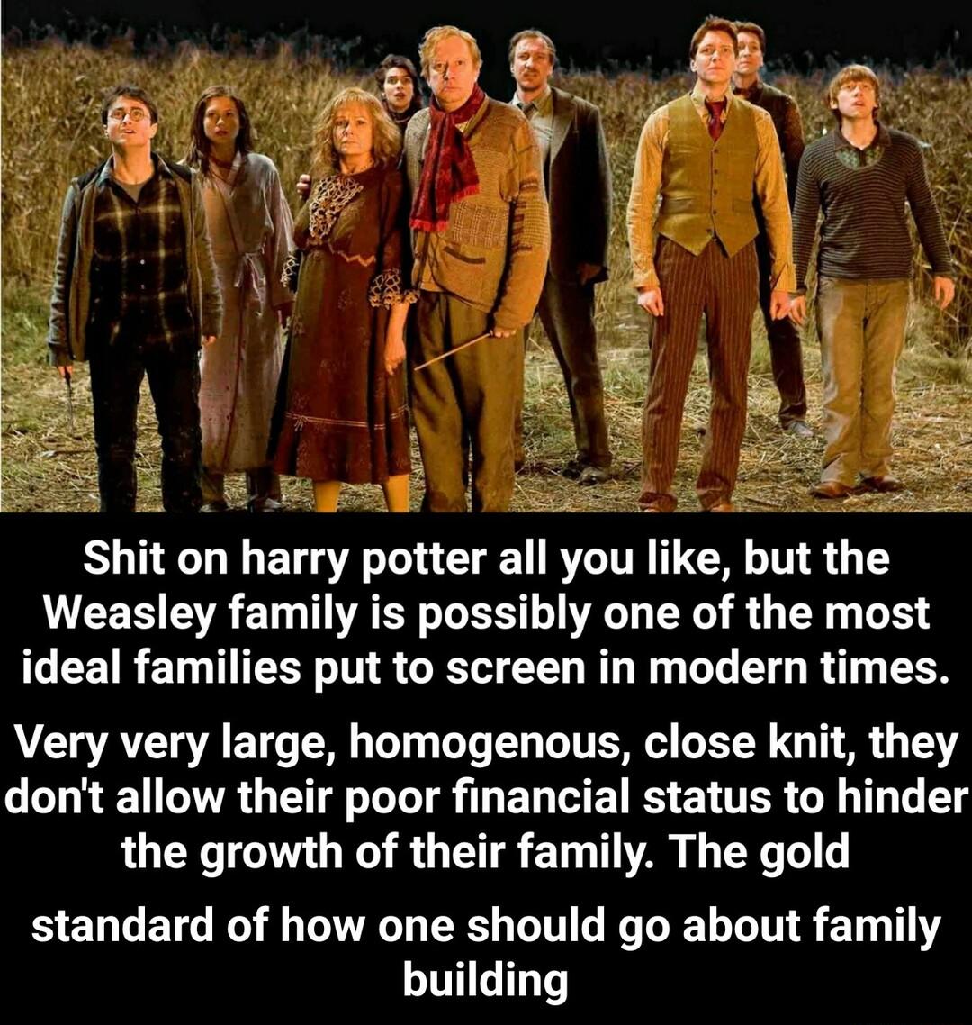 Shit on harry potter all you like but the Weasley family is possibly one of the most ideal families put to screen in modern times AR AT SR T T L DT DY G T G T dont allow their poor financial status to hinder the growth of their family The gold BENGEIG RGN EEE GING G LEL NG 1T building