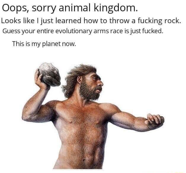 Oops sorry animal kingdom Looks like just learned how to throw a fucking rock Guess your entire evolutionary arms race is just fucked This is my planet now