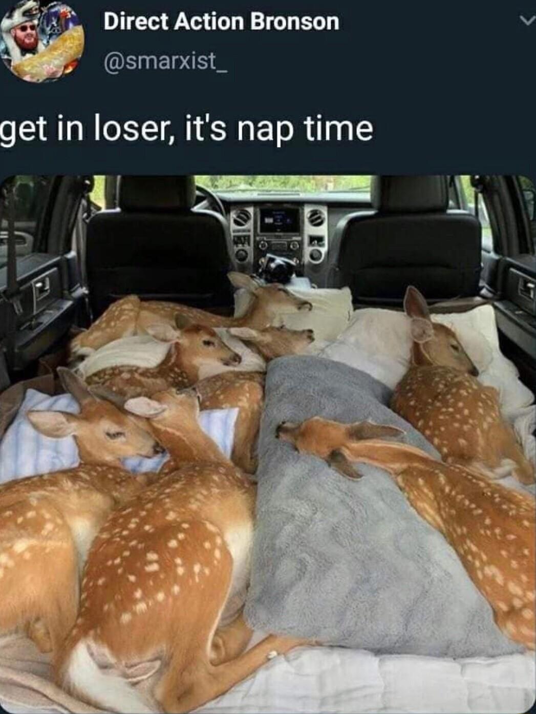 1 Direct Action Bronson v i smarxist_ get in loser its nap time