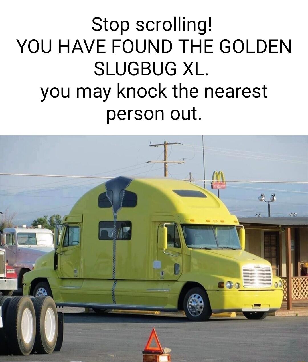 Stop scrolling YOU HAVE FOUND THE GOLDEN SLUGBUG XL you may knock the nearest person out