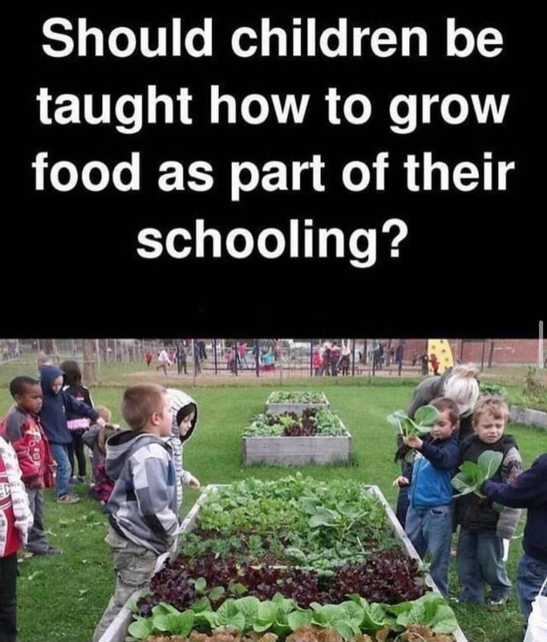 Should children be taught how to grow oJoTo IR o 1g ol 4 114 schooling