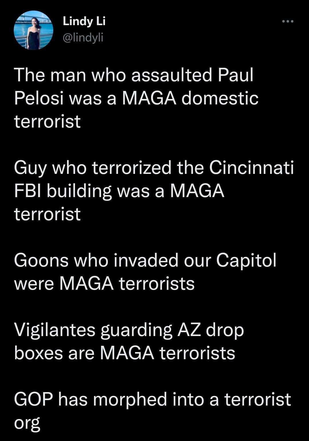 a Lindy Li lindyli The man who assaulted Paul Pelosi was a MAGA domestic terrorist Guy who terrorized the Cincinnati FBI building was a MAGA terrorist CTI I SR R O ToTe ReIU OF o o WEICHINCTR CI IR AN VET o aF VAo eo boxes are MAGA terrorists GOP has morphed into a terrorist org