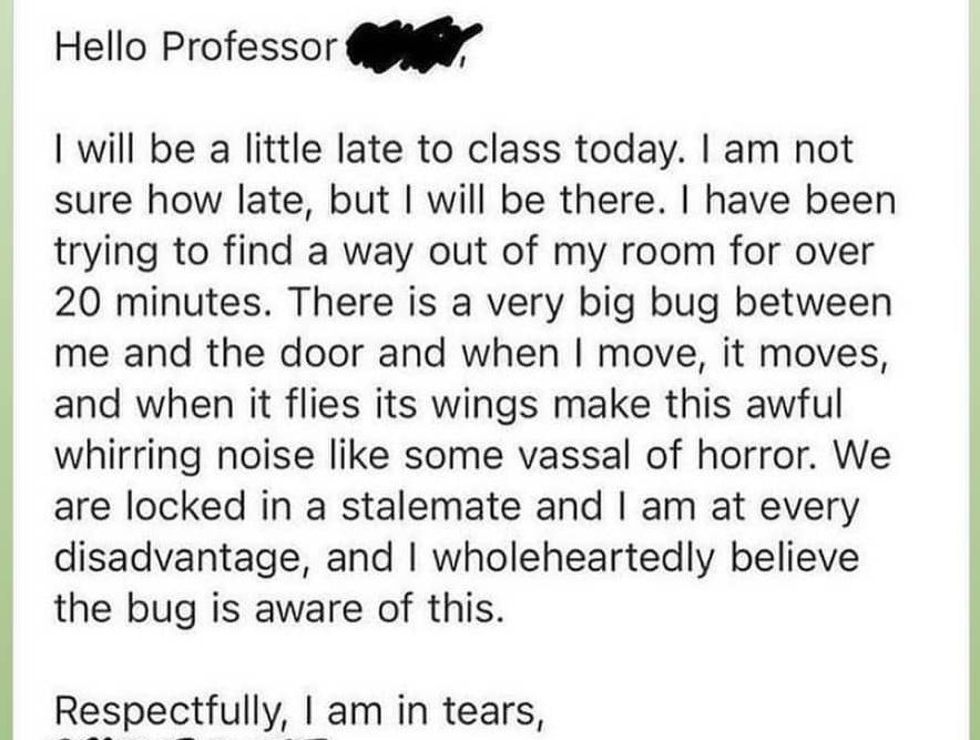 Hello Professor 8 will be a little late to class today am not sure how late but will be there have been trying to find a way out of my room for over 20 minutes There is a very big bug between me and the door and when move it moves and when it flies its wings make this awful whirring noise like some vassal of horror We are locked in a stalemate and am at every disadvantage and wholeheartedly believ