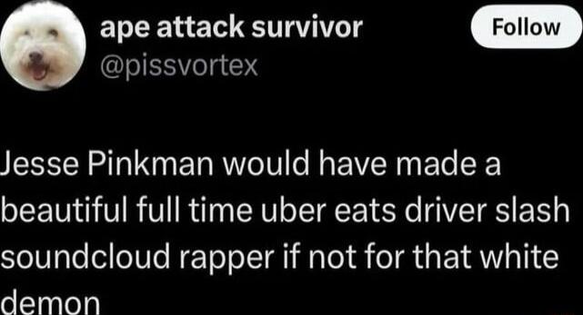 ape attack survivor IS Yelg 4 Jesse Pinkman would have made a beautiful full time uber eats driver slash soundcloud rapper if not for that white demon