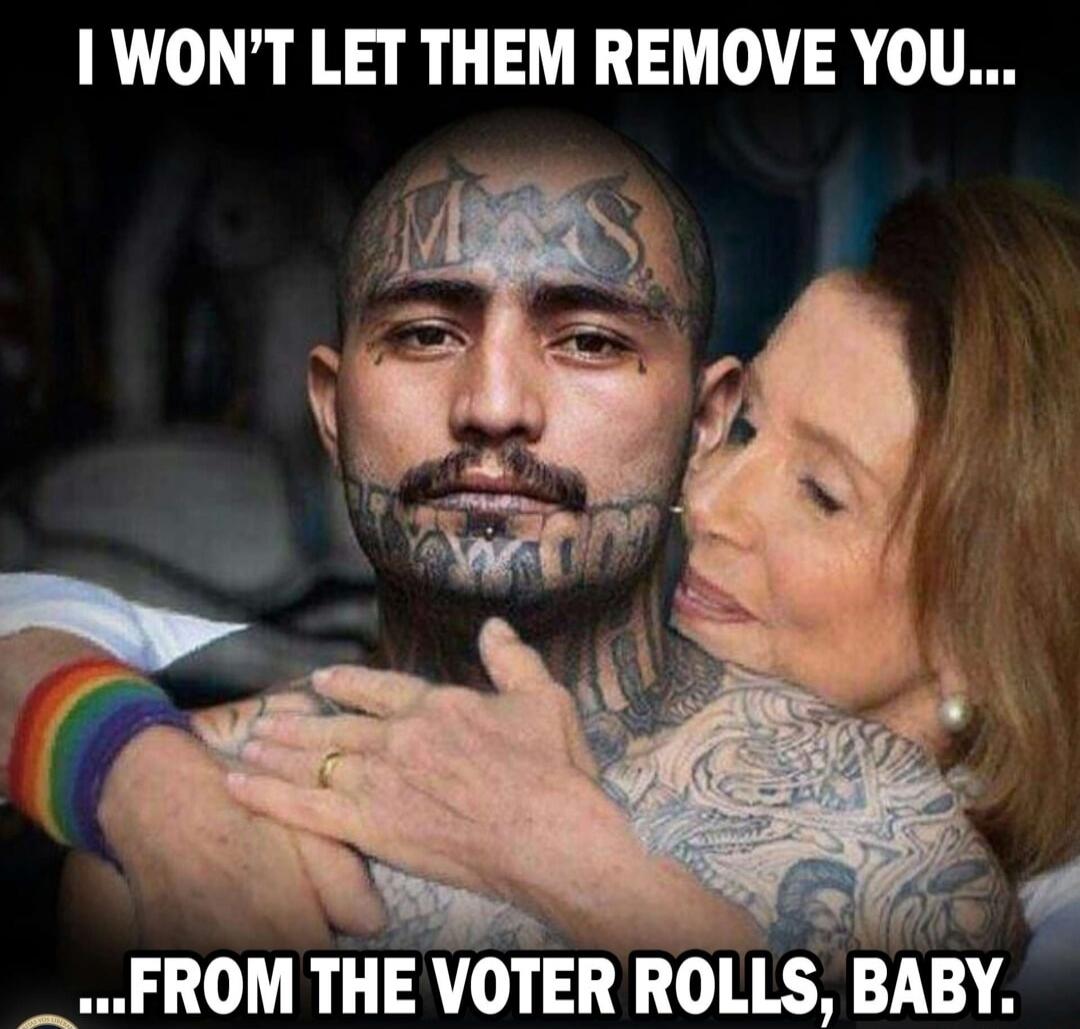 I WON'T LET THEM REMOVE YOU... ...FROM THE VOTER ROLLS, BABY.