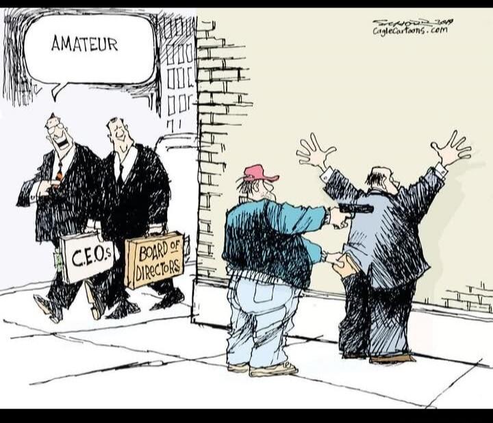 AMATEUR
CEOs
Board of Directors