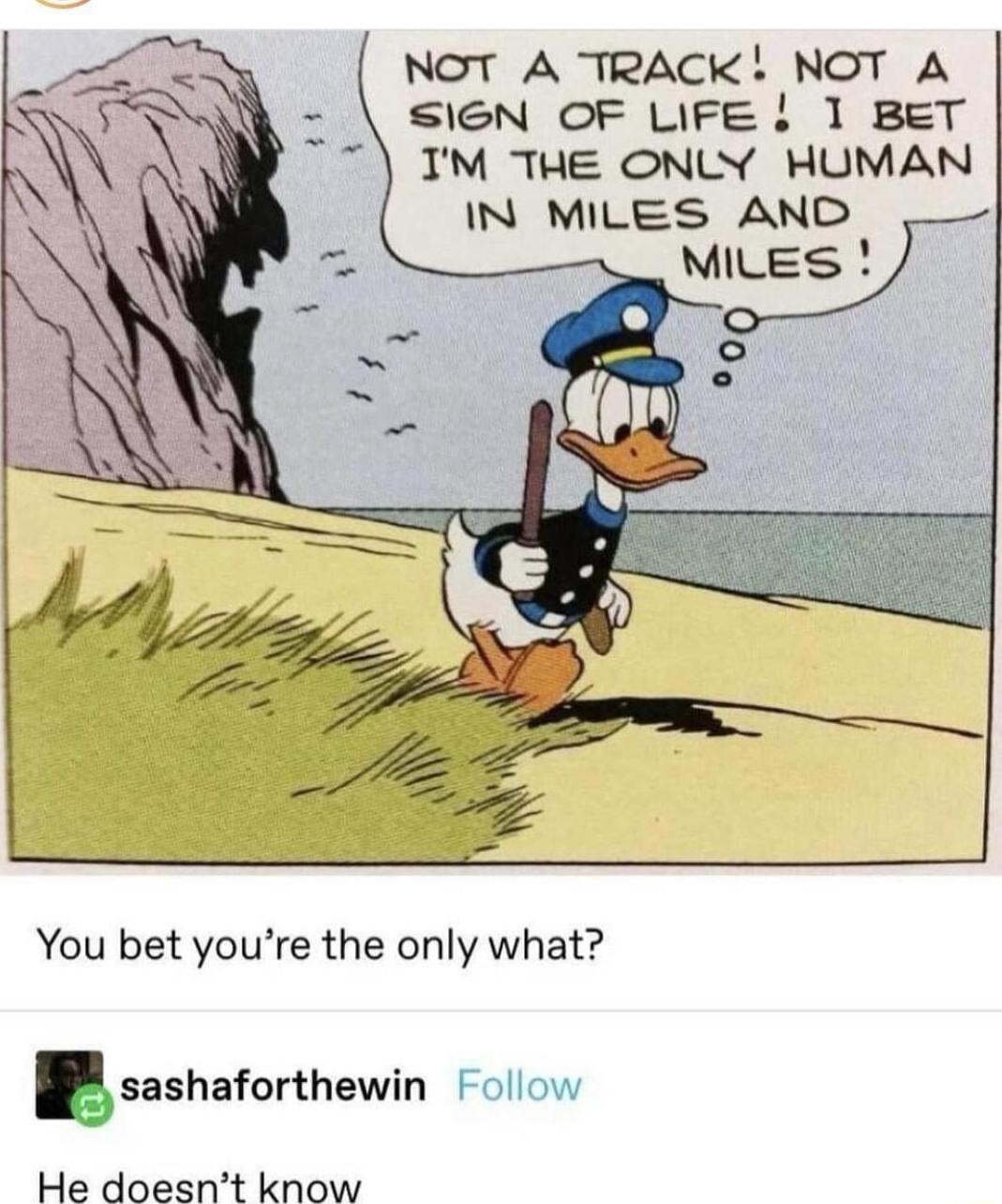 NOT A TRACK NOT A SIGN OF LIFE L 1 BET TM THE ONLY HUMAN IN MILES AND You bet youre the only what gsashaforthewin Follow He doesnt know