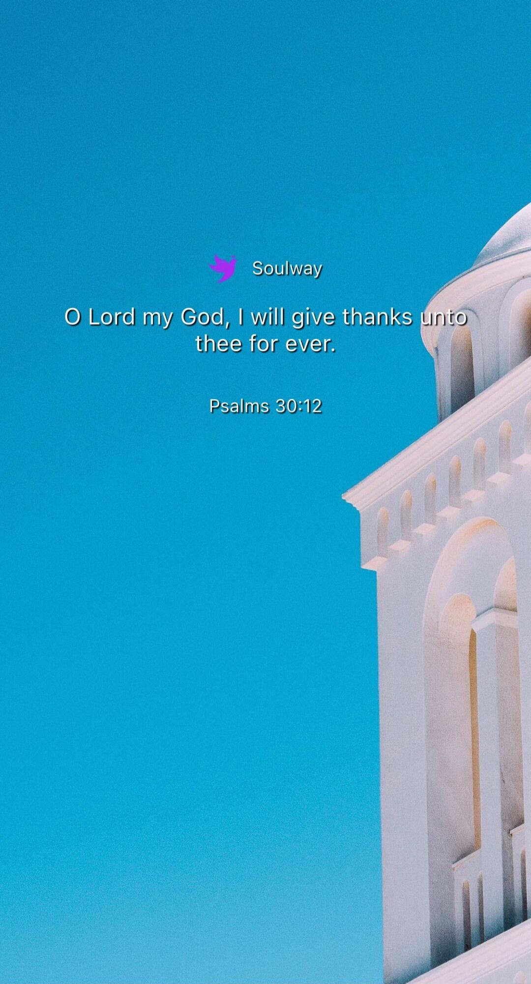 Soulway O Lord my God, I will give thanks unto thee for ever. Psalms 30:12