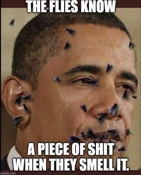 THE FLIES KNOW A PIECE OF SHIT WHEN THEY SMELL IT.