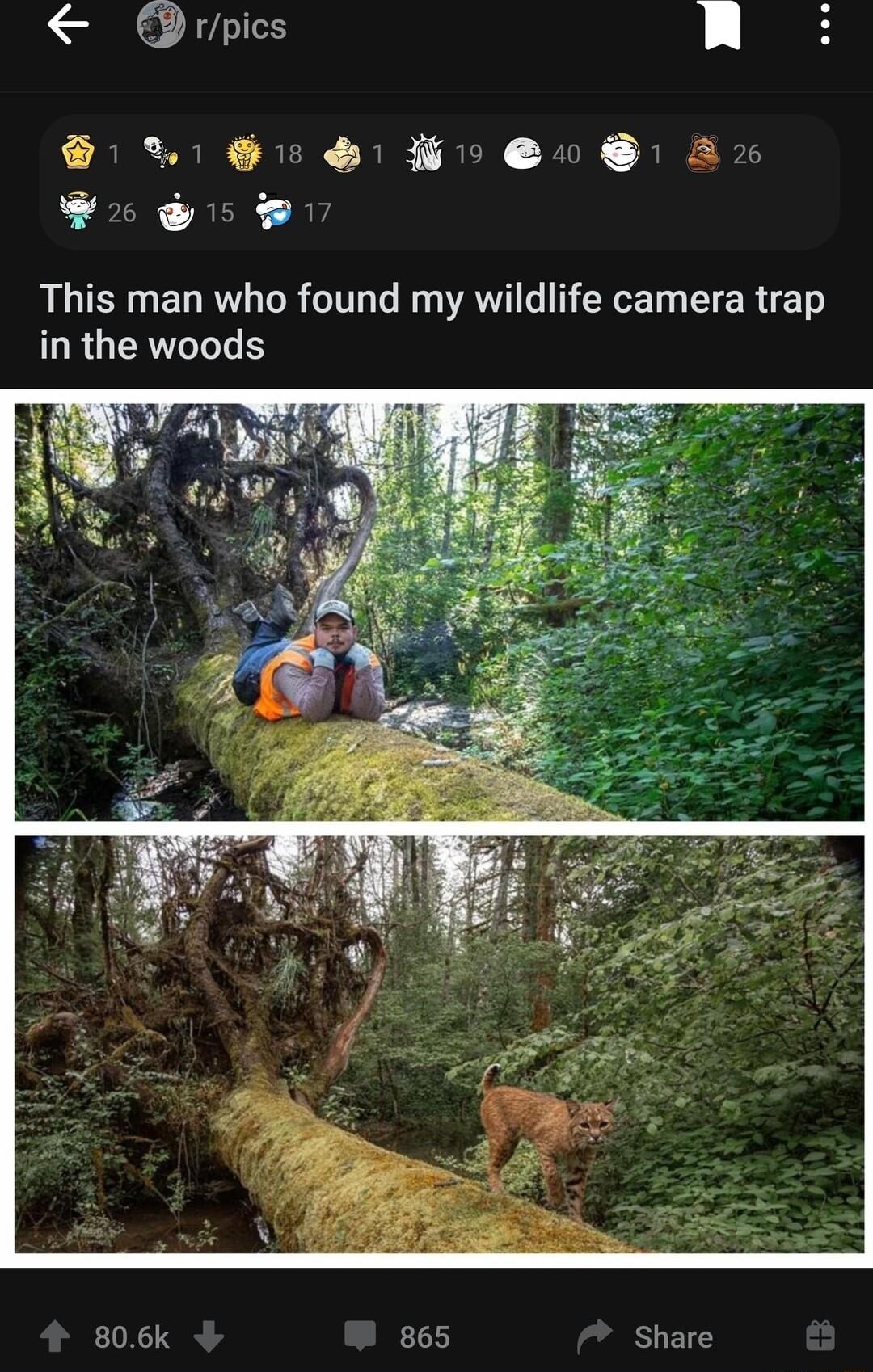 rpics n W G Hou Ax oo W This man who found my wildlife camera trap LRGERVETLE 806k 865 Share