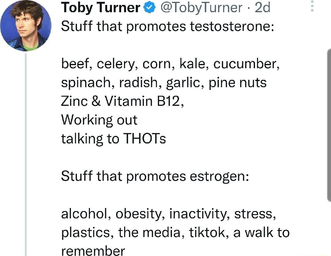 Toby Turner TobyTurner 2d Stuff that promotes testosterone beef celery corn kale cucumber spinach radish garlic pine nuts Zinc Vitamin B12 Working out talking to THOTs Stuff that promotes estrogen alcohol obesity inactivity stress plastics the media tiktok a walk to remember