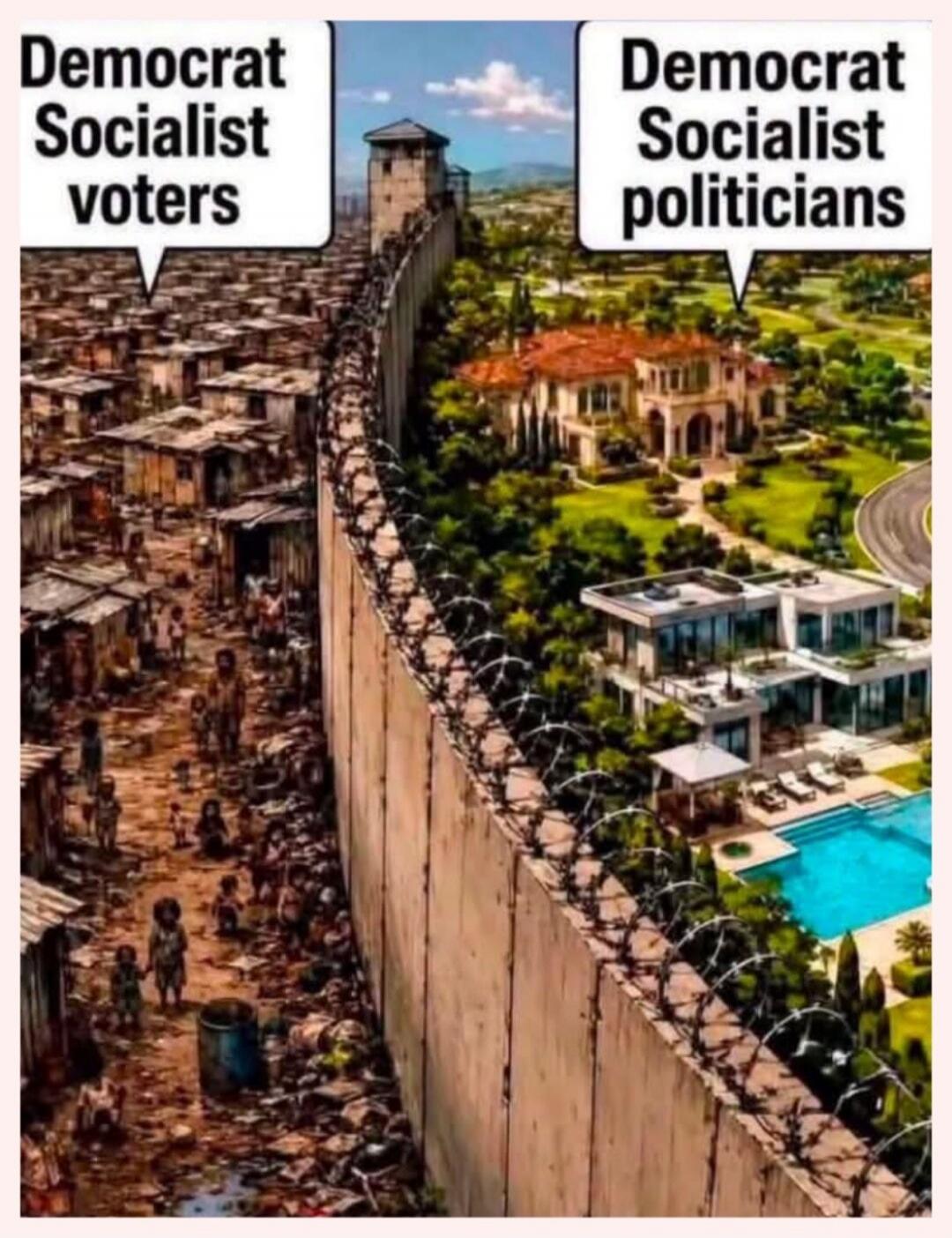 Democrat Socialist voters. Democrat Socialist politicians.