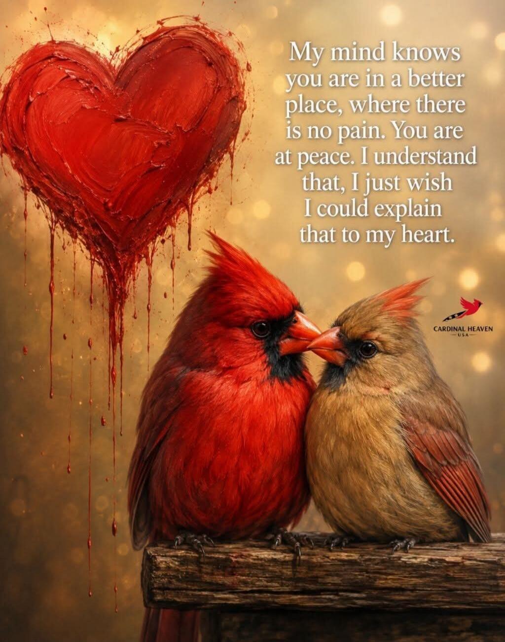My mind knows you are in a better place, where there is no pain. You are at peace. I understand that, I just wish I could explain that to my heart. CARDINAL HEAVEN -USA-
