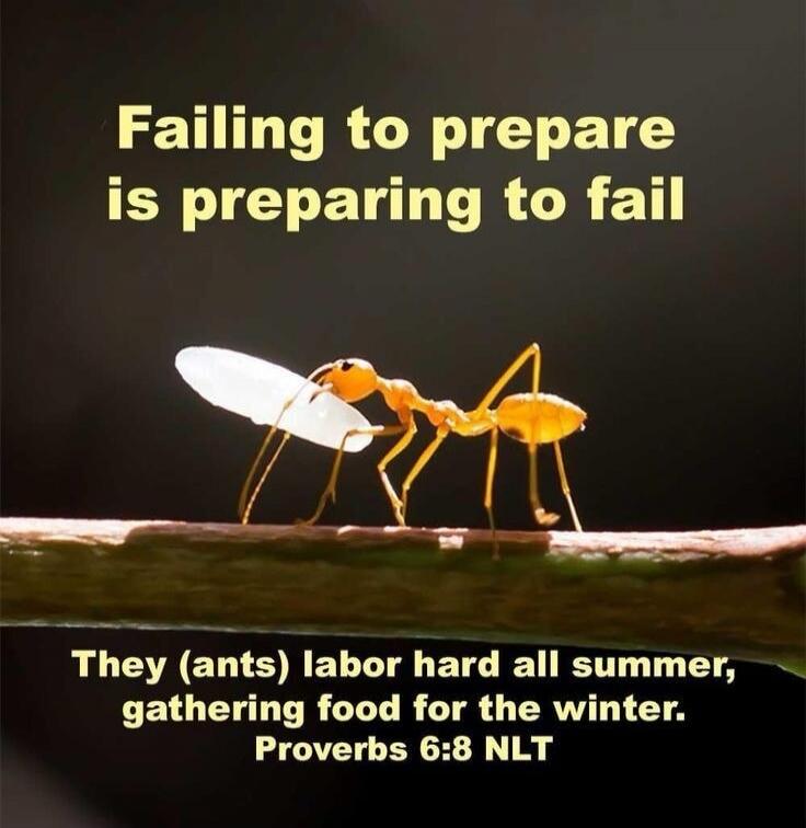 Failing to prepare is preparing to fail. They (ants) labor hard all summer, gathering food for the winter. Proverbs 6:8 NLT