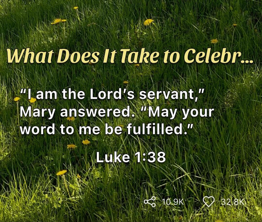 What Does It Take to Celebr... 