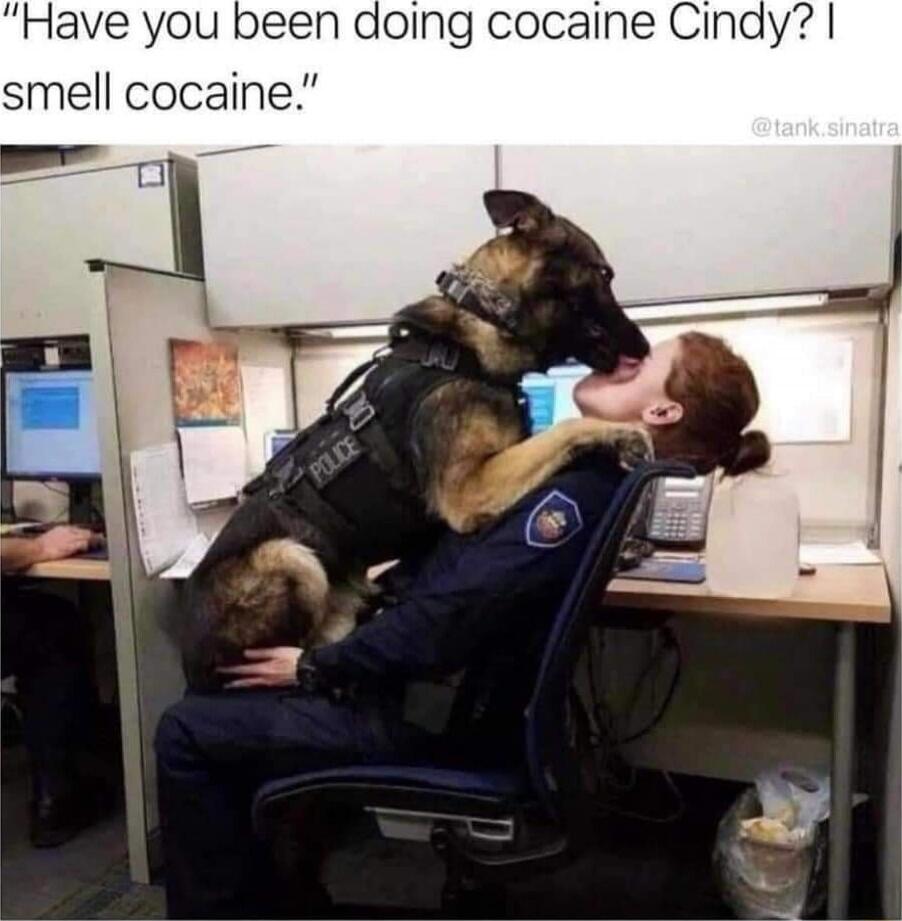 Have you been doing cocaine Cindy? I smell cocaine.