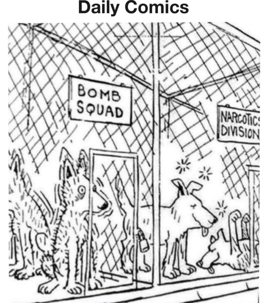 Daily Comics