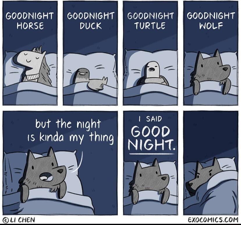 GOODNIGHT GOODNIGHT l GOODNIGHT B GOODNIGHT HORSE DPUCK TURTLE WOLF but the night is kinda my thing i UI CHEN EXOLOMICSCOM