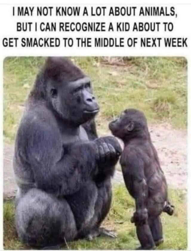 I MAY NOT KNOW A LOT ABOUT ANIMALS, BUT I CAN RECOGNIZE A KID ABOUT TO GET SMACKED TO THE MIDDLE OF NEXT WEEK