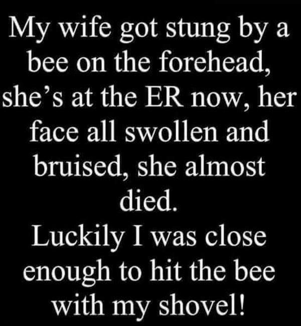 My wife got stung by a bee on the forehead shes at the ER now her face all swollen and bruised she almost died Luckily I was close enough to hit the bee with my shovel