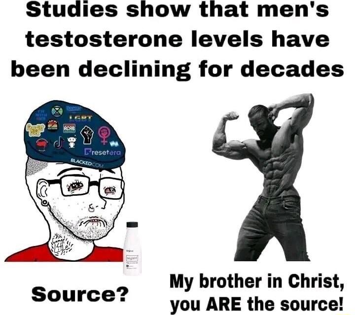 Studies show that mens testosterone levels have been declining for decades My brother in Christ you ARE the source Source