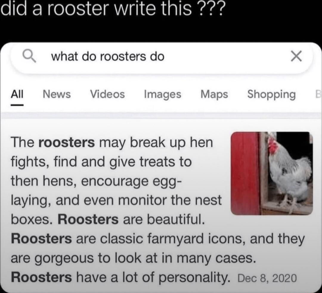 e RRelolS ST I SRial S what do roosters do X Al News Videos Image faps Shoppin The roosters may break up hen fights find and give treats to then hens encourage egg laying and even monitor the nest boxes Roosters are beautiful Roosters are classic farmyard icons and they are gorgeous to look at in many cases Roosters have a lot of personality Dec 8 2020