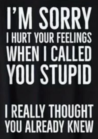 I'M SORRY I HURT YOUR FEELINGS WHEN I CALLED YOU STUPID I REALLY THOUGHT YOU ALREADY KNEW