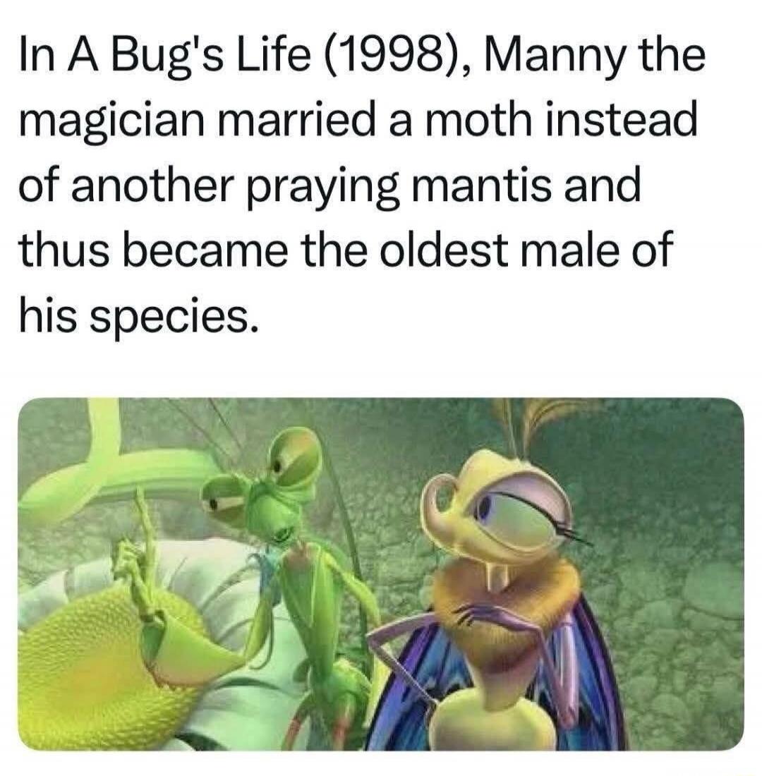 In A Bug's Life (1998), Manny the magician married a moth instead of another praying mantis and thus became the oldest male of his species.