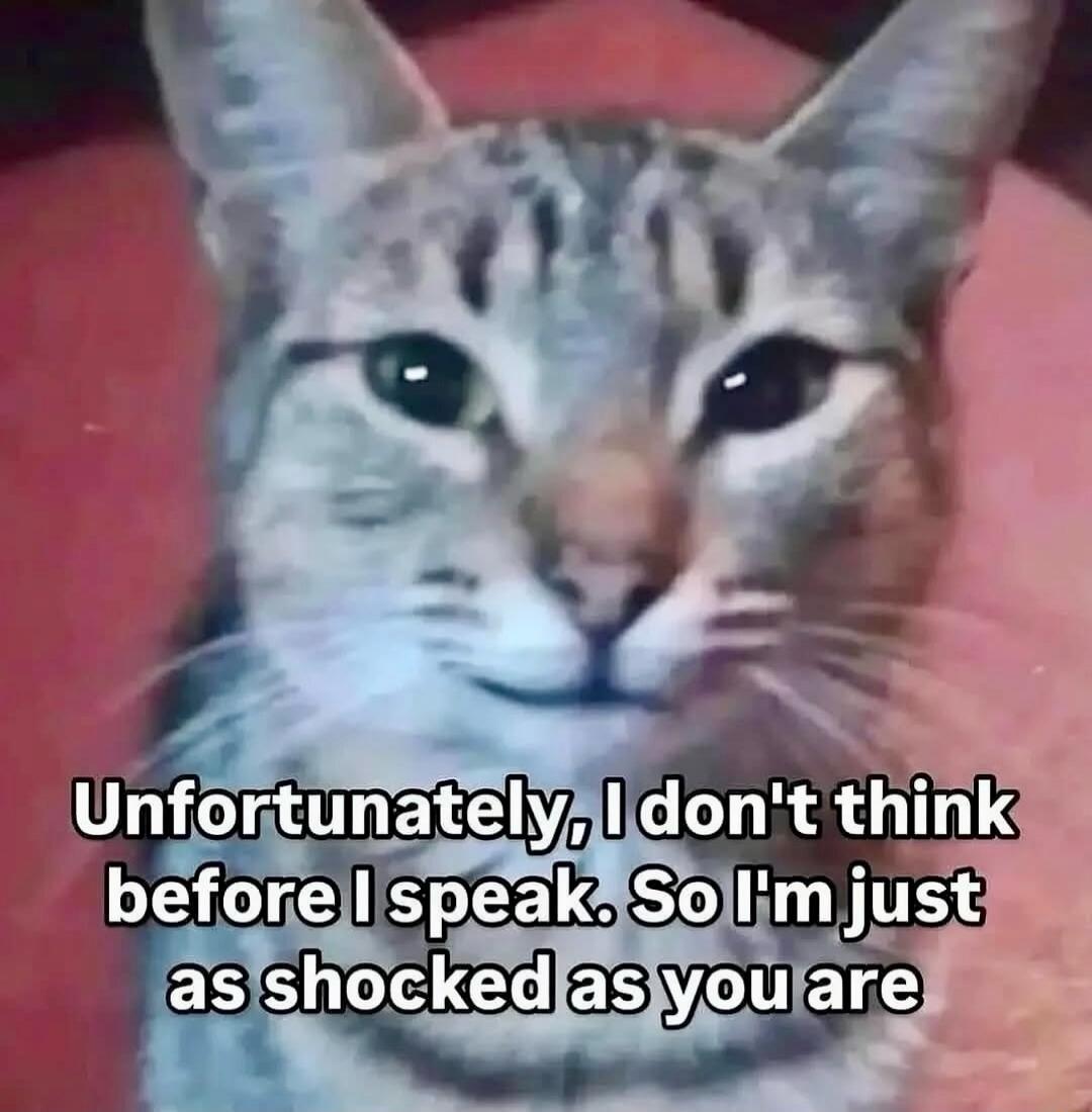 Unfortunately, I don't think before I speak. So I'm just as shocked as you are