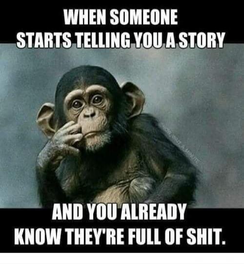 WHEN SOMEONE STARTS TELLING YOU A STORY AND YOU ALREADY KNOW THEY'RE FULL OF SHIT.