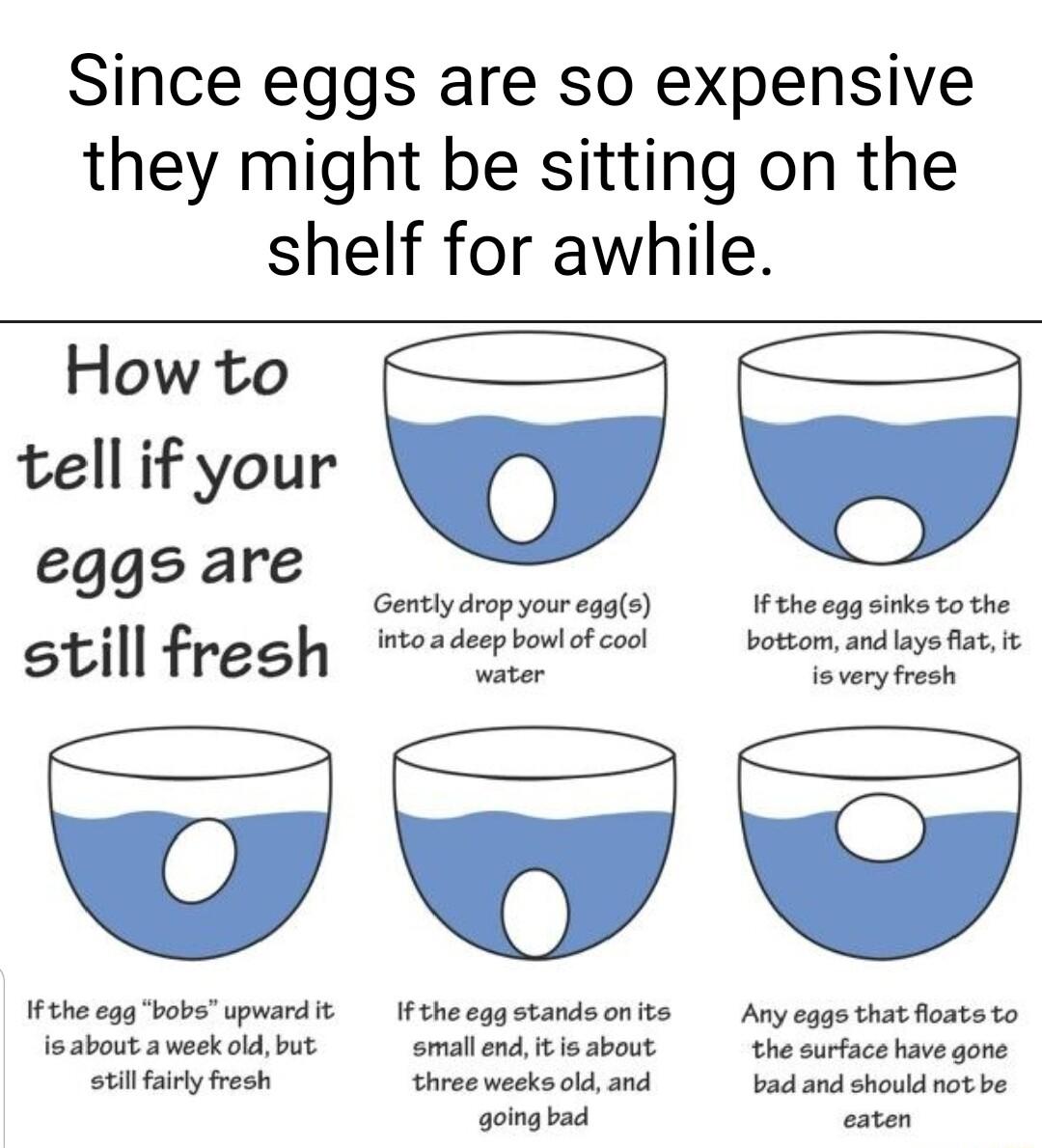 Since eggs are so expensive they might be sitting on the shelf for awhile How to tell if your eggs are f kot o J b ot still fresh i i e d Ifthe egqbobs upward it Iftheeggstandsonite Any eggs that floats to is about a week old but smallend tis about the surface have gone still farly fresh three weeks old and bad and should ot be going bad caten