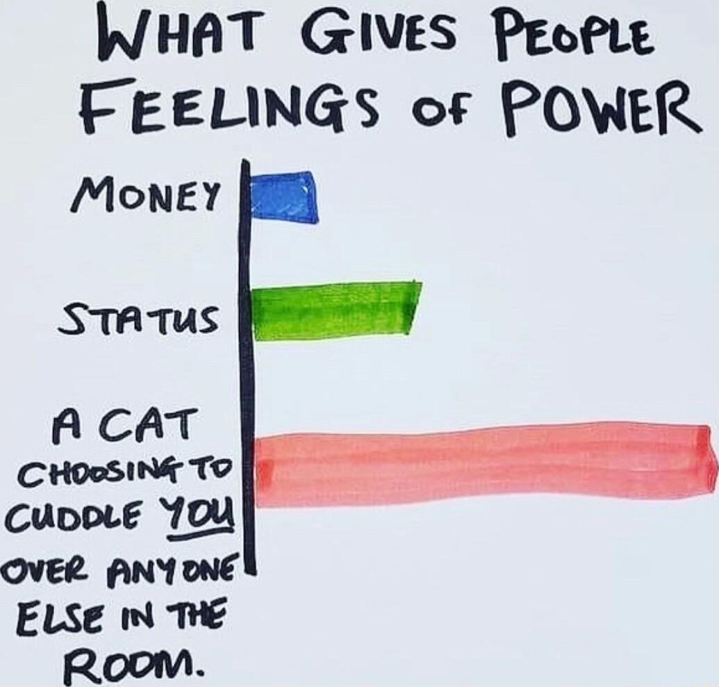 WHAT GIVES PeofLe FEELINGS of POWER MOoNEY STATUS A CAT CHOSSING TO CuppLE ToU OVER ANYONE ELSE THE ROOM