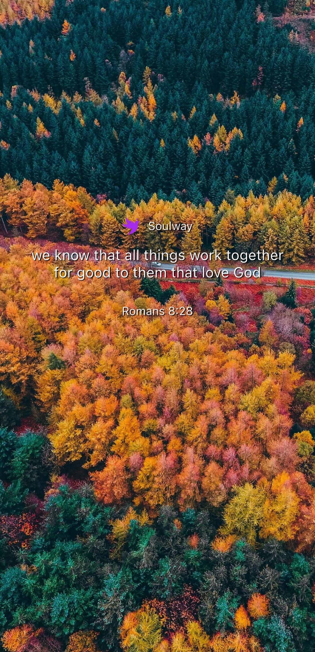 Soulway we know that all things work together for good to them that love God Romans 8:28