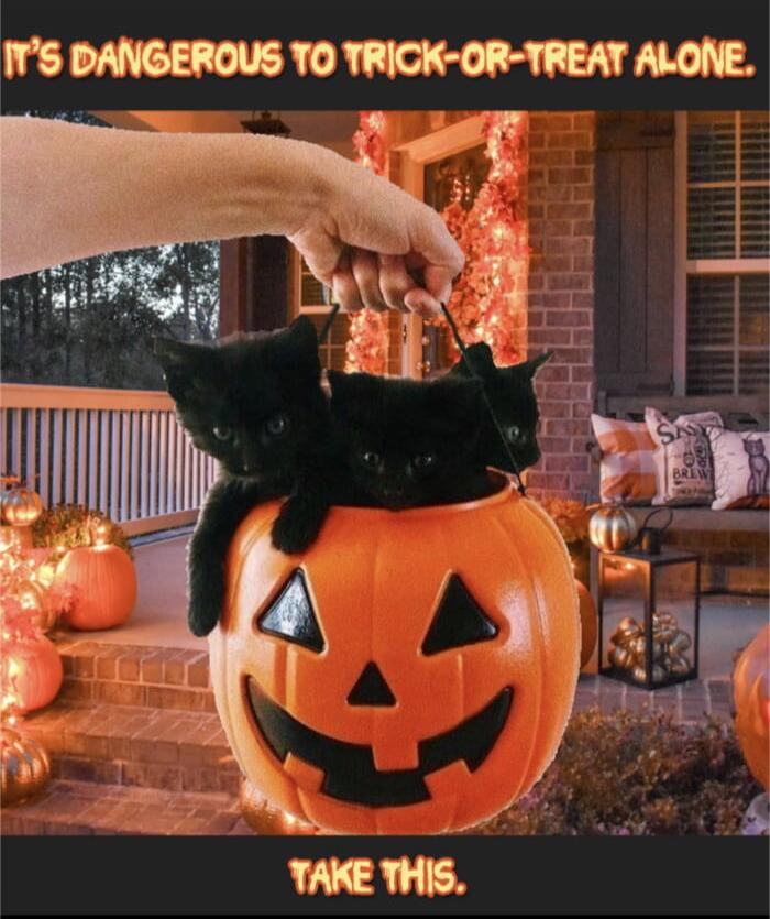 It's dangerous to trick-or-treat alone. Take this.