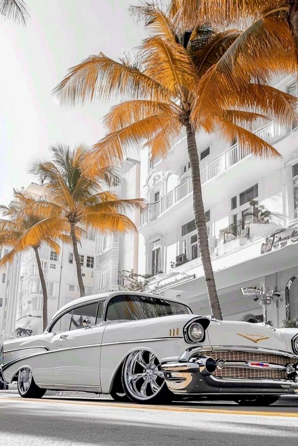 No text detected in the image.