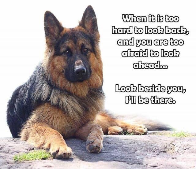 When it is too hard to look back, and you are too afraid to look ahead... Look beside you, I'll be there.