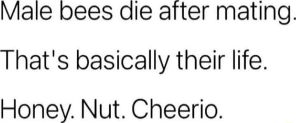 Male bees die after mating Thats basically their life Honey Nut Cheerio