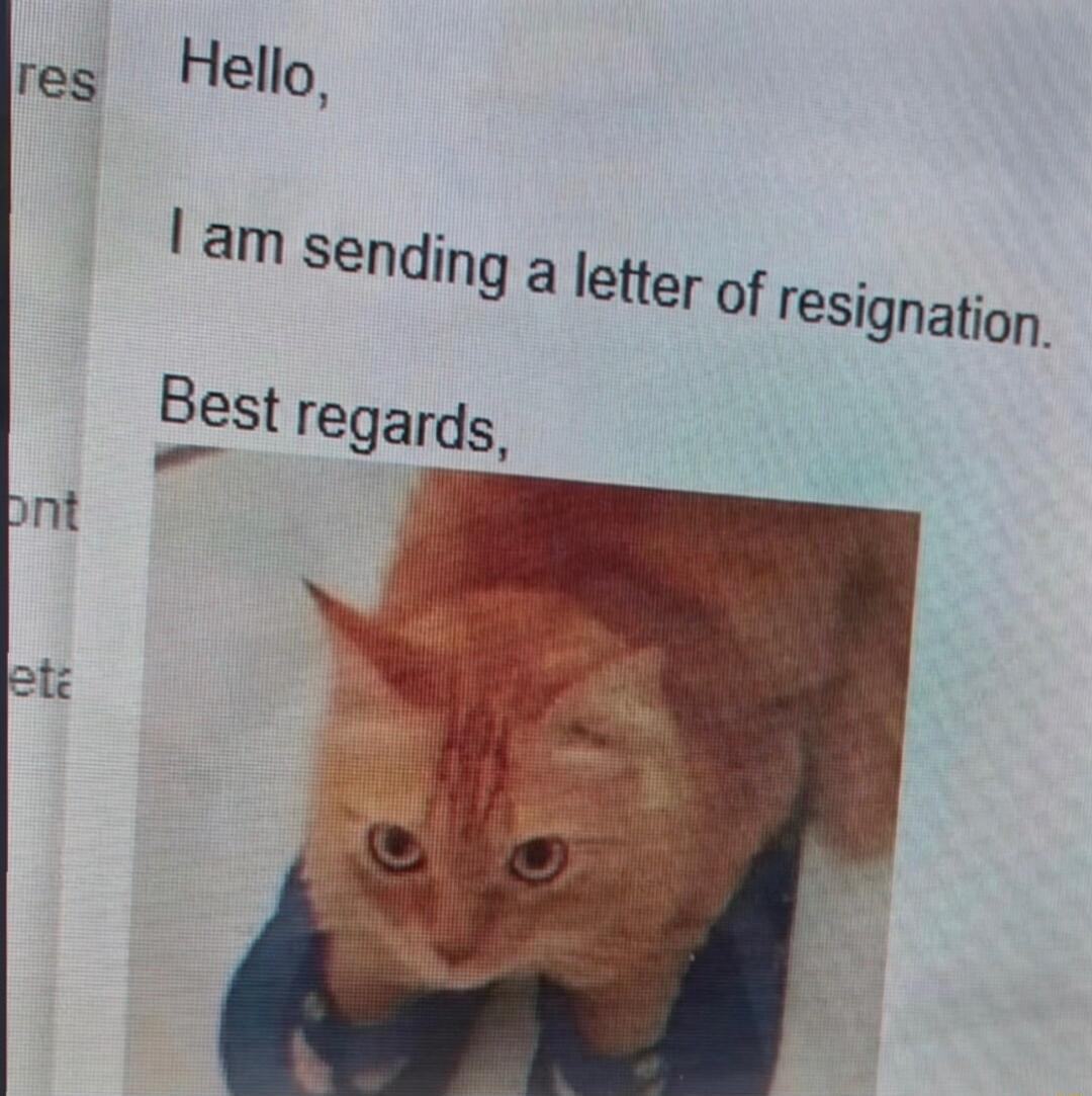 Hello, I am sending a letter of resignation. Best regards,