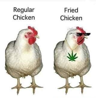 Regular Chicken