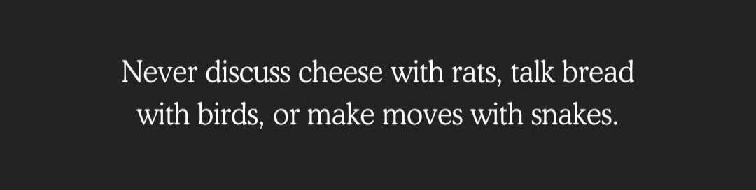 Never discuss cheese with rats, talk bread with birds, or make moves with snakes.
Session ID: 1099092.