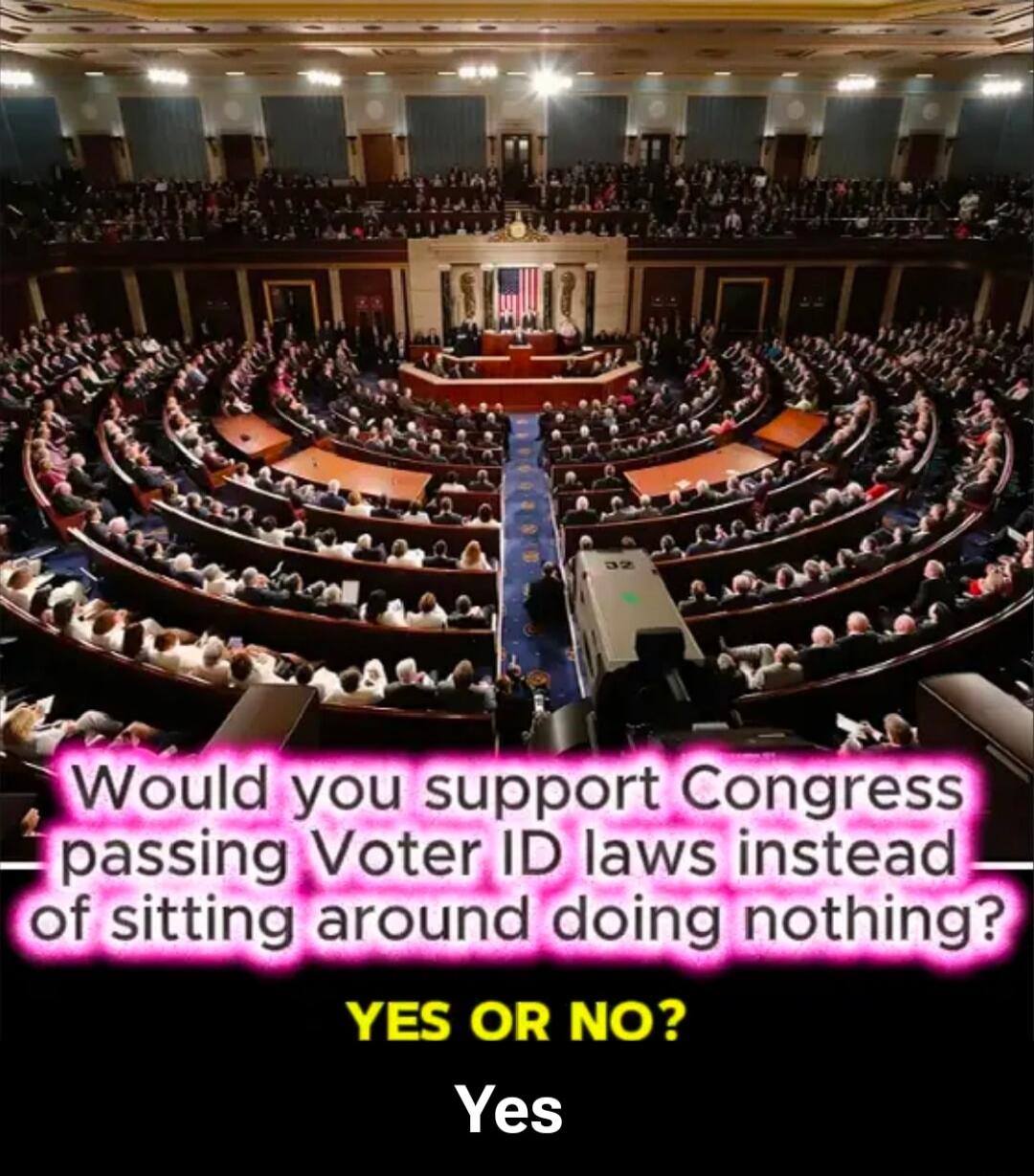 Would you support Congress passing Voter ID laws instead of sitting around doing nothing? YES OR NO? Yes