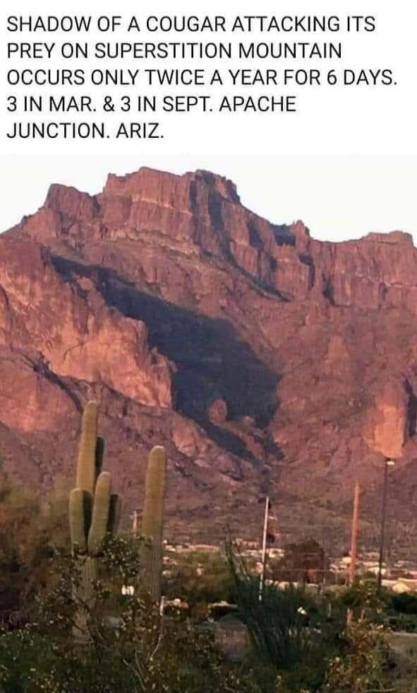 SHADOW OF A COUGAR ATTACKING ITS PREY ON SUPERSTITION MOUNTAIN OCCURS ONLY TWICE A YEAR FOR 6 DAYS 3IN MAR 3 IN SEPT APACHE JUNCTION ARIZ